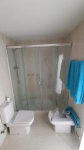 La salle de bains est pourvue d'une douche, de toilettes et d'un lavabo. dans l'établissement NGN, à Ateca
