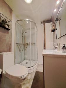 a bathroom with a shower and a toilet and a sink at H3 apartment - cozy downtown apartment in Akureyri