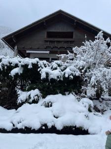 a snow covered bush in front of a house at Haus Silverfern in Förolach