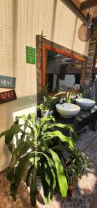 a bathroom with three sinks and a potted plant at Altea Hostal in Santa Ana +36 photos