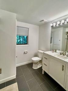 uma casa de banho com um WC, um lavatório e um espelho. em Very Spacious and Bright Home 15mins From Downtown em Hopkins