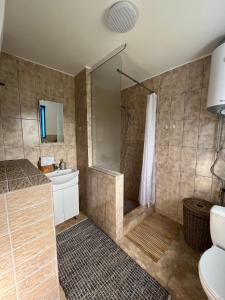 a bathroom with a shower and a toilet and a sink at Бабусина хатка in Leplyavo