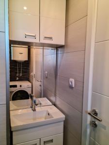 ein Badezimmer mit einem Waschbecken und einer Waschmaschine in der Unterkunft Apartman Cookie Kolačić blizu aerodroma Nikola Tesla in Dobanovci