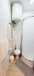 La salle de bains est pourvue d'une douche et de toilettes. dans l'établissement Le petit havre de paix, Proche Paris-Disney-Asterix-Aéroport CDG, à Les Pavillons-sous-Bois