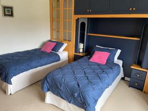 2 camas en una habitación con paredes azules y almohadas rosas en Rocklands Guesthouse en Castlebar