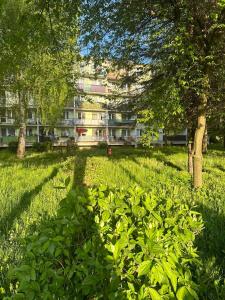 a green field with trees and a building in the background at STELLA 6 in Sanok