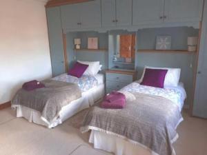 two beds in a room with purple pillows at Rocklands Guesthouse in Castlebar