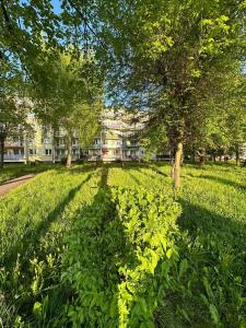 een veld van groen gras met een boom en een gebouw bij STELLA 6 in Sanok