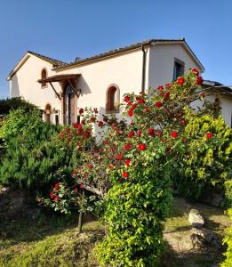 una casa con flores rojas delante de ella en Borgo de' Muracci, en Ribolla