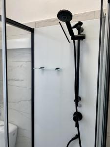 a bathroom with a shower with a blow dryer at Elsasser Haus - 2 Zimmer, 3 Betten, 5 Personen, kontaktloses Einchecken, Netflix in Wuppertal