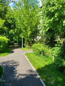 un sentiero in un parco con alberi e erba di Apartament Florilor a Baia Mare