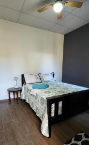 Schlafzimmer mit einem Bett und einem Deckenventilator in der Unterkunft Altea Hostal in Santa Ana