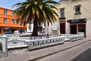 una palmera frente a un edificio en Hotel RJ Querétaro en Querétaro