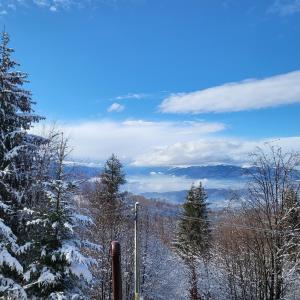 vistas a una colina nevada con árboles y montañas en Cabana Ana en Petroşani
