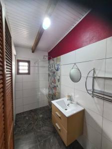 a bathroom with a sink and a shower at Maison de campagne avec piscine et spa in Lamentin