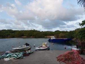Anse-Bertrand的住宿－Haut de villa agréable et paisible climatise, wifi，两艘船停靠在湖上,船上有一艘蓝色的船