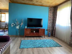 sala de estar con TV y pared azul en İznik Göl Manzaralı Ev, 