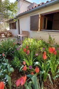 Vonkajšia záhrada v ubytovaní Apartments with a parking space Mali Losinj (Losinj) - 8059