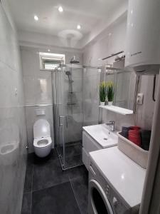 a bathroom with a shower and a toilet and a sink at Apartments by the sea Arbanija, Ciovo - 11321 in Trogir