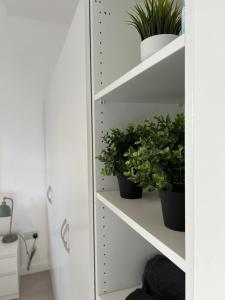 Zimmer mit weißen Regalen mit Topfpflanzen in der Unterkunft Hackney Apartment in London