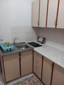 Kuchyňa alebo kuchynka v ubytovaní Apartments with a parking space Nin, Zadar - 14733 + 13 fotografií