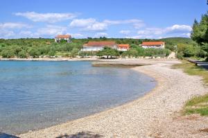 einen Strand mit Häusern am Ufer eines Wasserkörpers in der Unterkunft Apartments and rooms by the sea Loviste, Peljesac - 21096 in Lovište