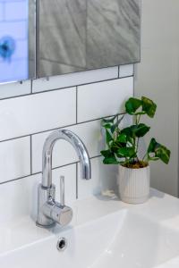 a bathroom sink with a faucet and a plant at St Albans Gem Single level studio with Queen bed in Christchurch