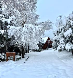un patio cubierto de nieve con un banco y árboles en Totara Lodge - Unwind, Relax & Enjoy - Mt Lyford, en Mt Lyford