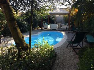 a swimming pool in a yard with chairs and a tree at Residenza Palazzo Visdomini in Pietrasanta