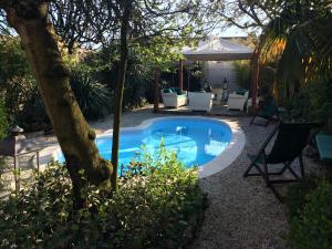 a swimming pool in a yard with chairs and a tree at Residenza Palazzo Visdomini in Pietrasanta
