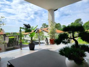 Κήπος έξω από το Villa Keti