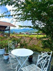 峇里奧的住宿－Zara Lodge，树下一张白色的桌子和椅子