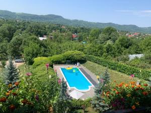 - une vue sur la piscine dans le jardin dans l'établissement Casa Alexandra - Cornu, à Cornu de Jos