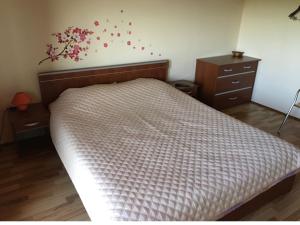 1 dormitorio con 1 cama y vestidor con flores en la pared en Casa Alexandra - Cornu en Cornu de Jos
