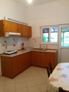 a kitchen with wooden cabinets and a sink and a table at Drakopanagiotaki Rooms in Agios Andreas