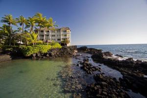 カイルア・コナにあるOceanfront Condo to Enjoy Sea Breeze and Sunset on Lanai which hangs over the ocean!! - Hale Kona Kai 305のヤシの木と海のあるビーチ