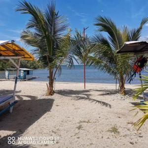 a beach with two palm trees and the ocean at Binubusan Beach Hotel and Resort in Lian