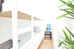 a hallway with white walls and a plant at Huge Apartment in Awesome Location with parking in Innsbruck