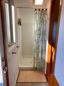 eine Dusche mit Duschvorhang im Bad in der Unterkunft Quiet, Elegant & Cozy - 4 Miles from Downtown in Talkeetna