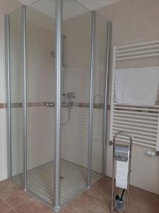una doccia con una porta in vetro in un bagno di Ferienwohnung Richter a Luckau Altre 18 foto
