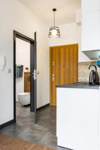 een keuken met een aanrecht en een badkamer bij ENERGYLANDIA Zator Apartament Krzyś in Zator