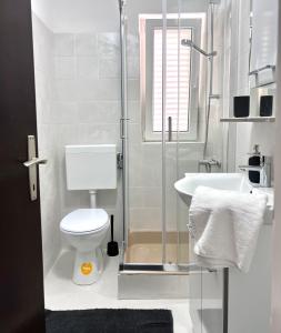 y baño con aseo, lavabo y ducha. en Apartments Ana & Ita, en Novalja