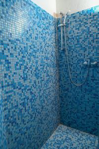 baño de azulejos azules con ducha y aseo en The Cottages - Unit 1 en Soufrière