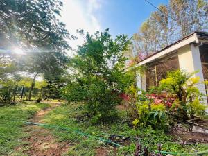 a house with a garden in front of it at Wild Valley Club in Masinagudi +21 photos