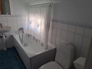 a bathroom with a tub and a toilet and a sink at Kristbergs Rusthåll in Borensberg