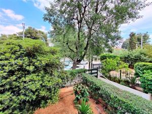 a garden with bushes and a fence and a tree at Vouliagmeni Iasonos Residence Central Stylish Flat in Athens
