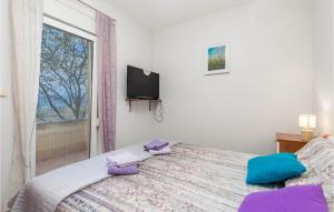 ein Schlafzimmer mit einem Bett mit lila Kissen und einem Fenster in der Unterkunft Gorgeous Home In Viskovo With Kitchen in Viskovo