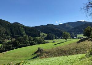 a green field with a tree on a hill at Wyndham Garden Donaueschingen in Donaueschingen