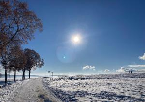 a snow covered field with the sun in the sky at Wyndham Garden Donaueschingen in Donaueschingen