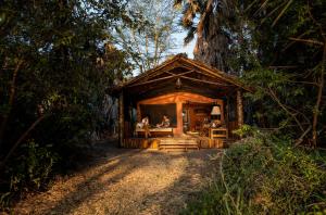 a small log cabin in the woods with a person sitting in it at Kisima Ngeda Camp in Mangola